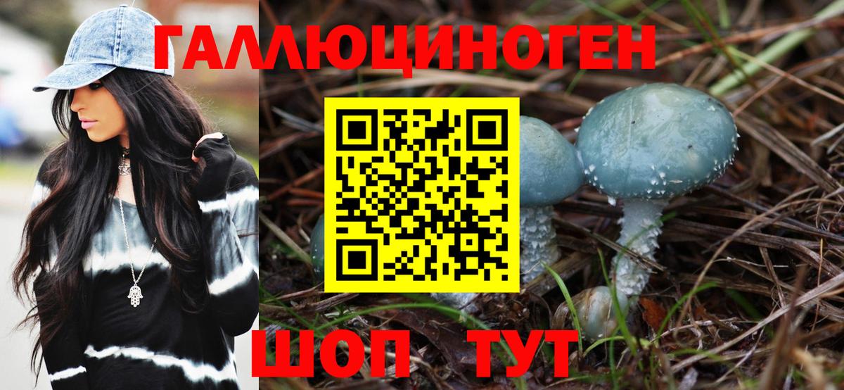 Галлюциногенные грибы Cubensis  Вход с VPN  Ленинск-Кузнецкий 