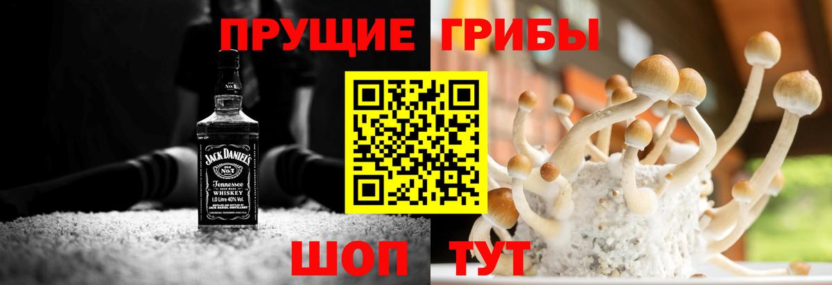 Галлюциногенные грибы MAGIC MUSHROOMS Ленинск-Кузнецкий
